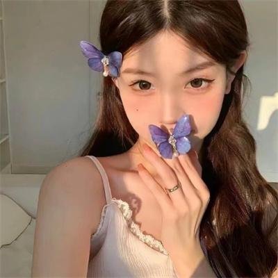 积木之箱